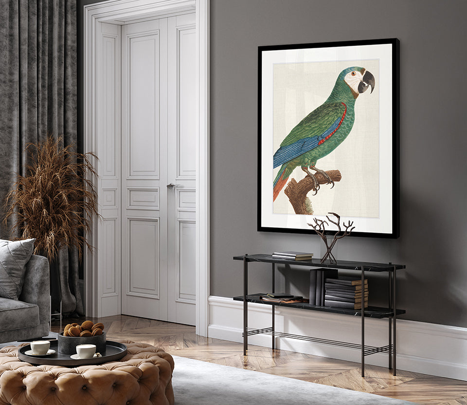 Naturelle des Perroquet I