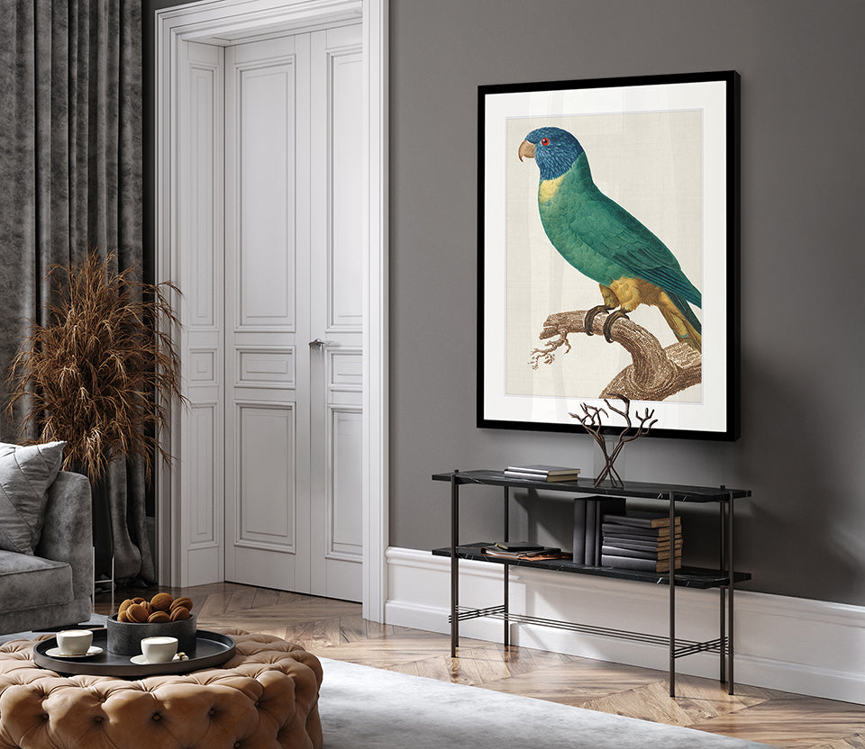 Naturelle des Perroquet III