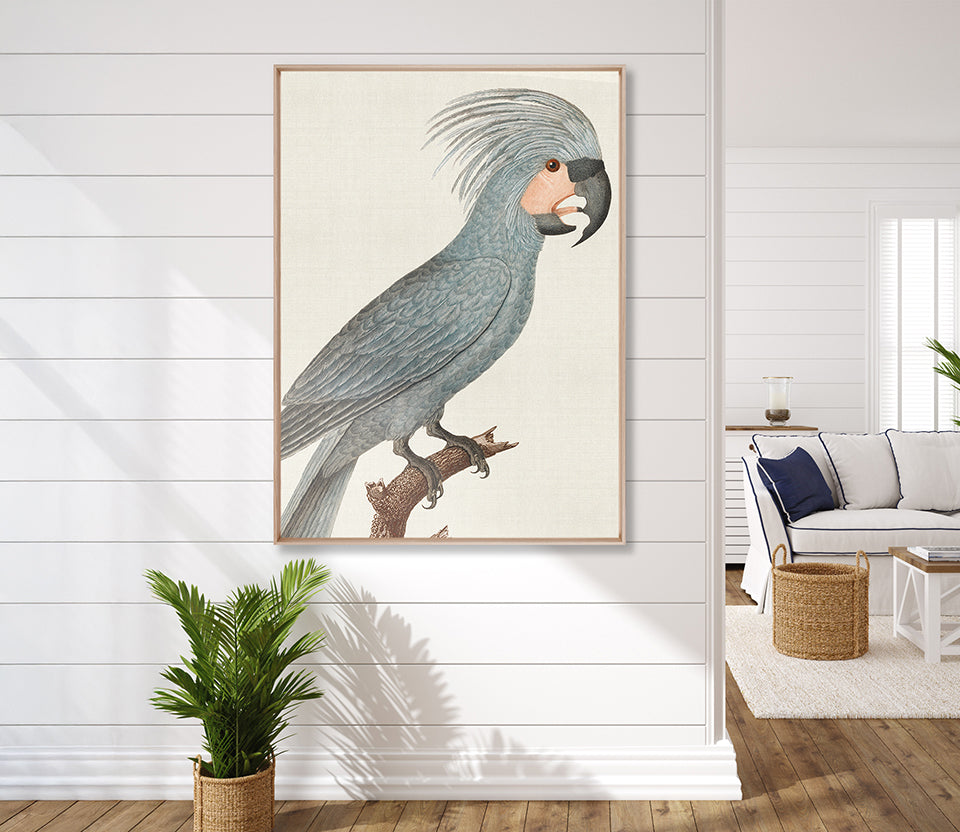Naturelle des Perroquet X (Canvas)