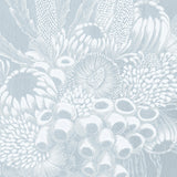 lill07-c-l_3