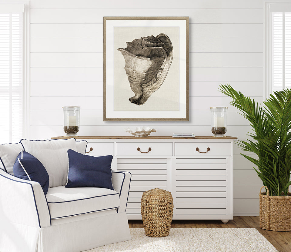 Black & White Shell II