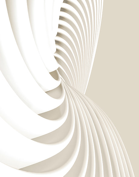 Architectural Curves V (Canvas)