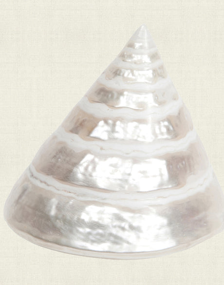Shell Subject IV