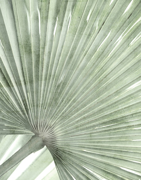 Palm Silhouette I (Pale Green)