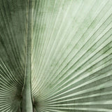 mandal02-c_3