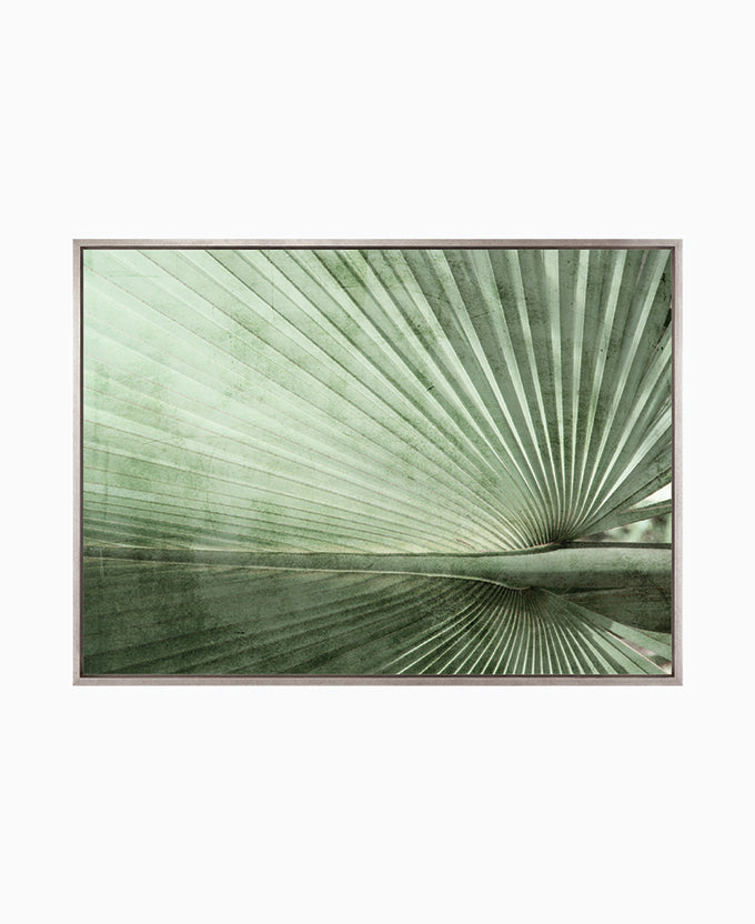 Palm Silhouette (Pale Green) II (Canvas)