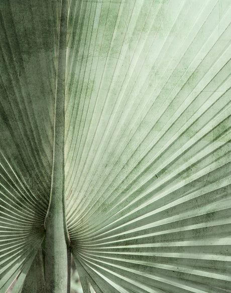 Palm Silhouette II (Pale Green)