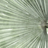 mandal03_3