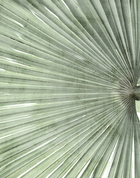 Palm Silhouette III (Pale Green)