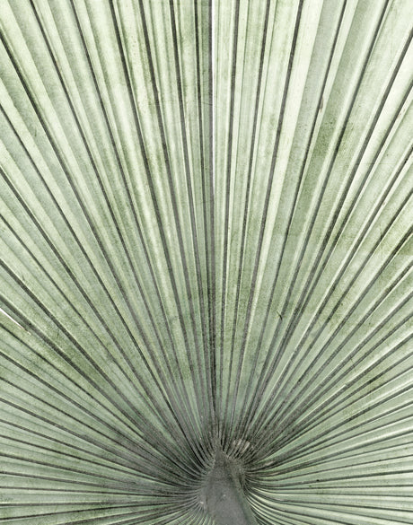 Palm Silhouette (Pale Green) IV (Canvas)
