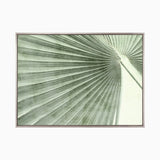 mandal05-c_4