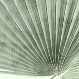 mandal05_3