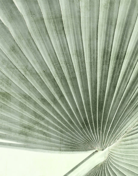 Palm Silhouette V (Pale Green)