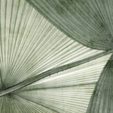 mandal06_3