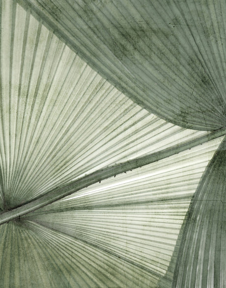 Palm Silhouette VI (Pale Green)
