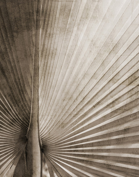 Palm Silhouette VIII (Taupe)