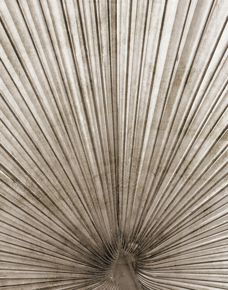Palm Silhouette X (Taupe)