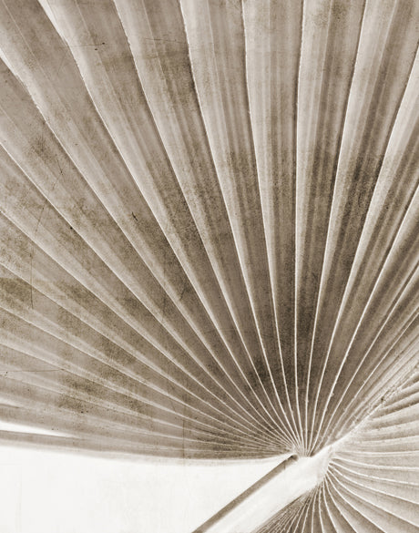 Palm Silhouette (Taupe) XI (Canvas)