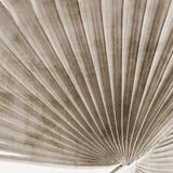 mandal11_3