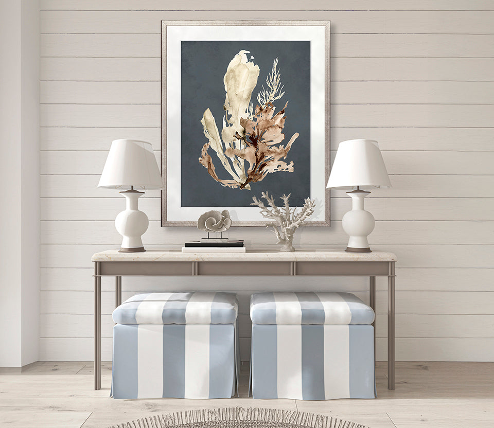 Margate Coral VII