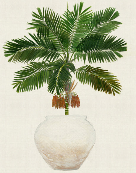 Palm Beauty II