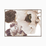 mayfair01-c_4