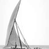 menl01_3