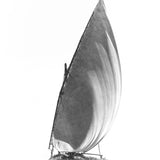 menl06_3