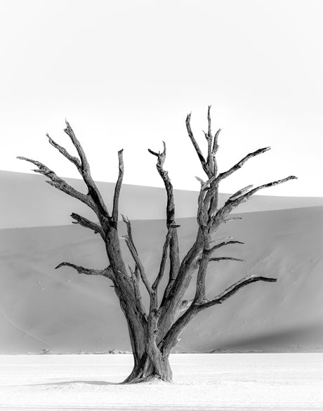 Mercer Black & White VII (Canvas)