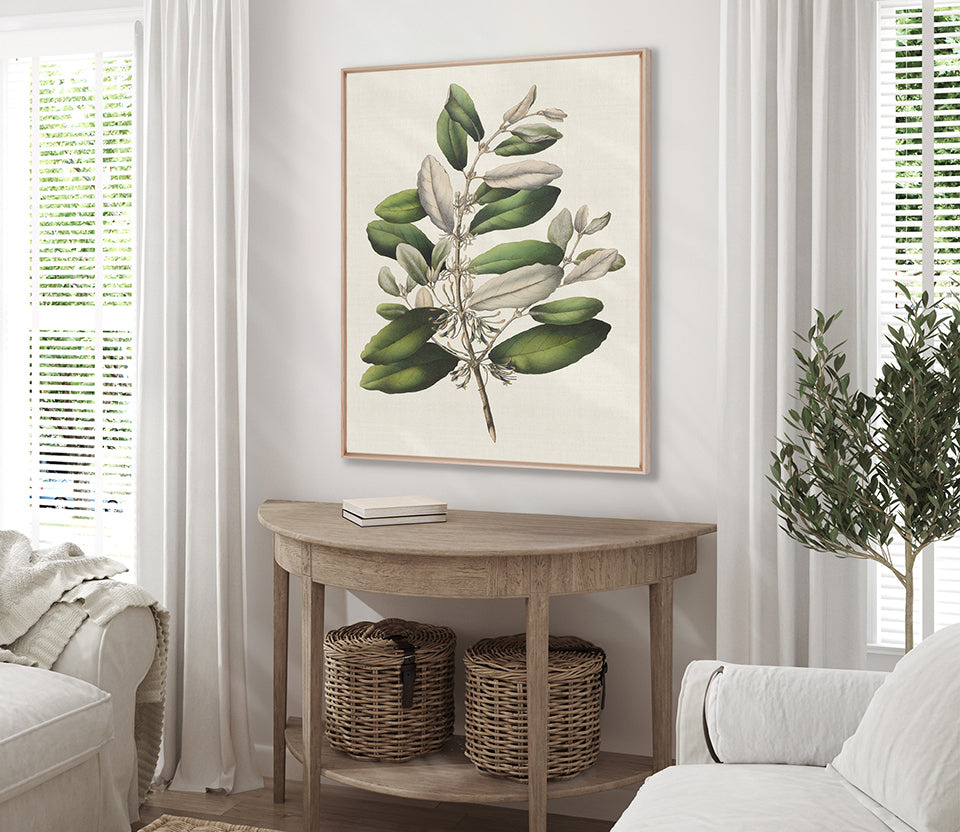 Botanical Bliss I (Canvas)