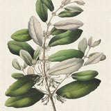 mich01-c_3