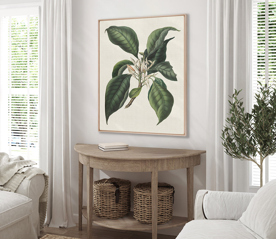 Botanical Bliss II (Canvas)