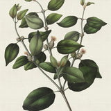 mich04_3