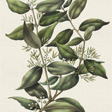 mich05_3