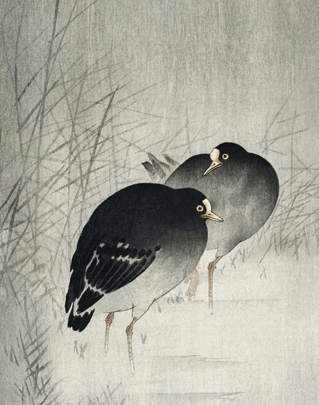 Naoko Bird III (Canvas)