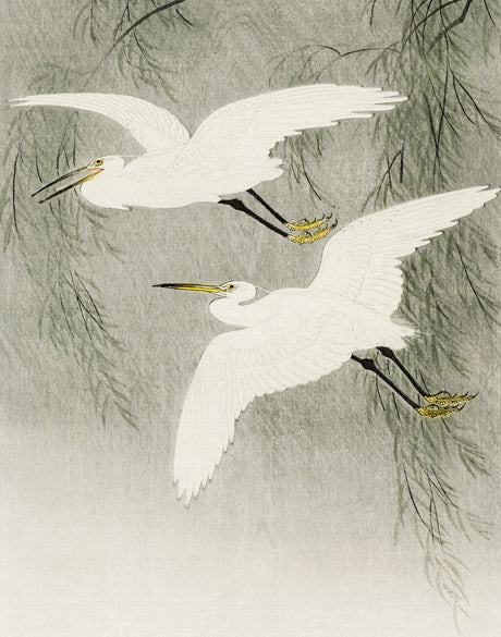 Naoko Bird V (Canvas)