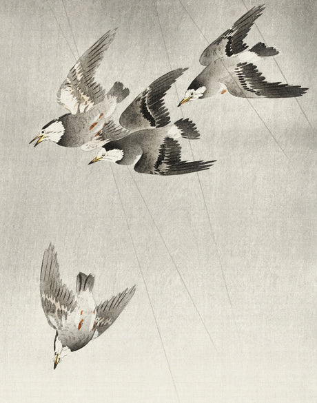 Naoko Bird VI (Canvas)