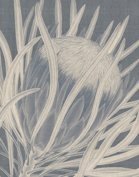 Protea Silhouette II