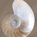 nau03_3