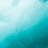 newp05_3