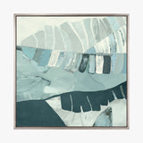 nova14-c_4