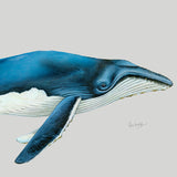 ocean01-c_3