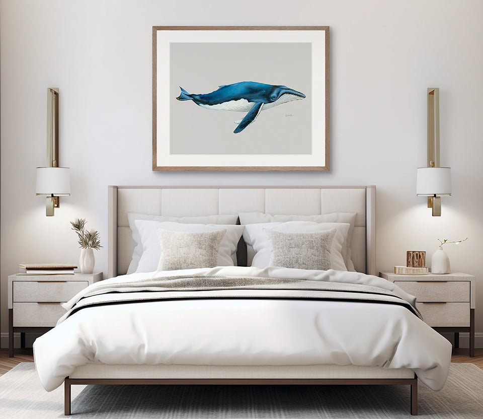 Humpback Whale