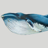 ocean04-c_3