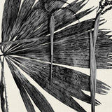 palm01_3