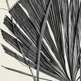 palm02_3