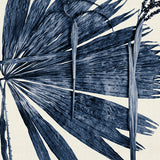 palm03-c-l_3