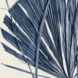 palm04_3