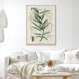 palme01-c-l_2