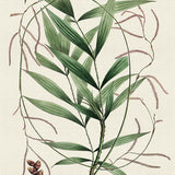 palme01_3